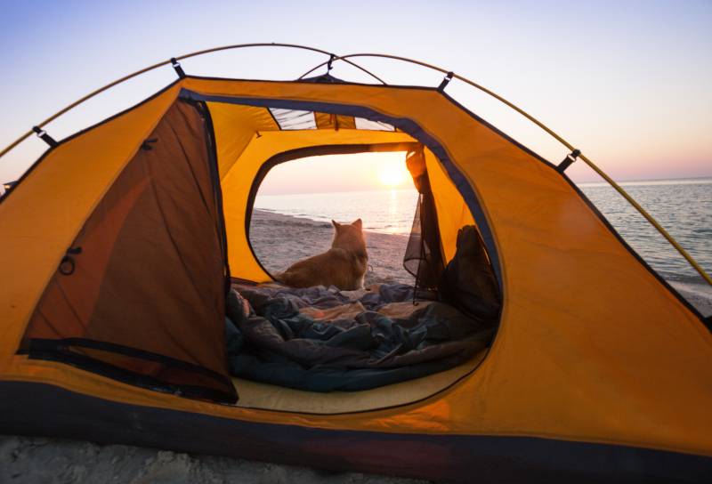 отдых на море в палатках