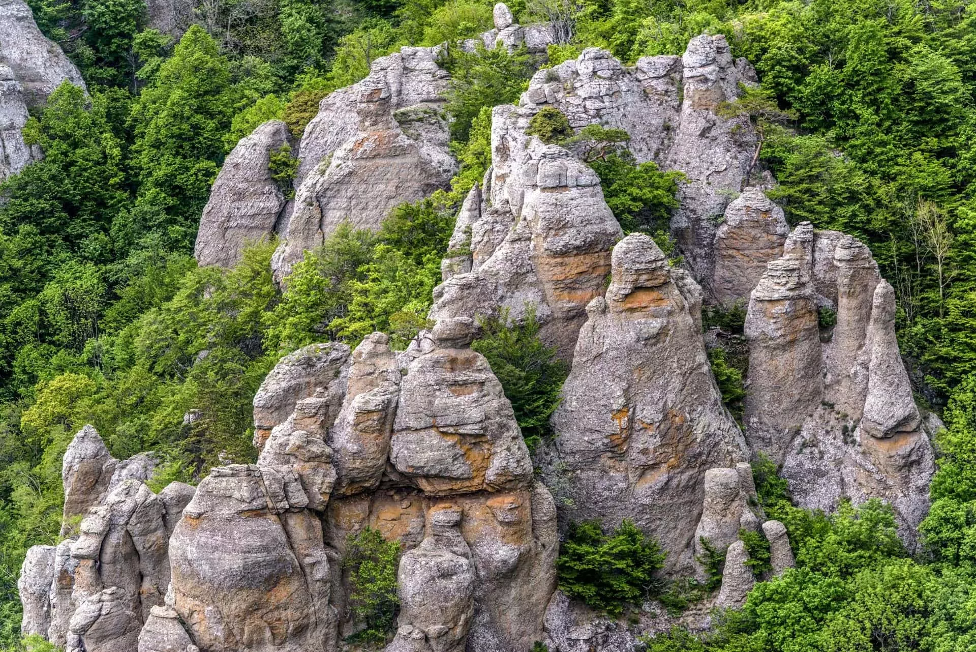 Гора Демерджи в Крыму