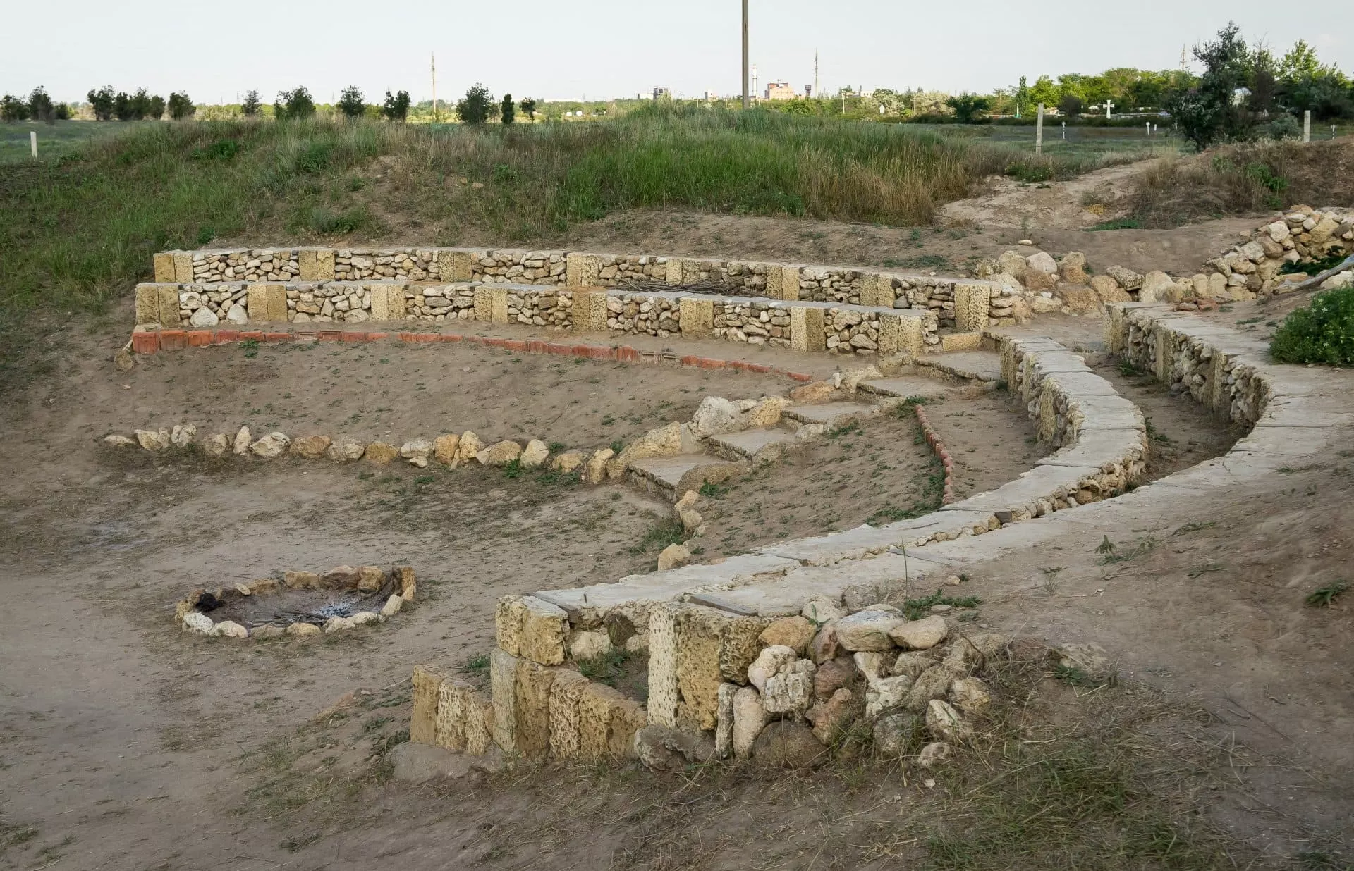 Фото Саки