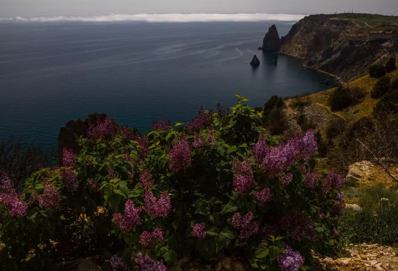 события в Крыму в мае 2019