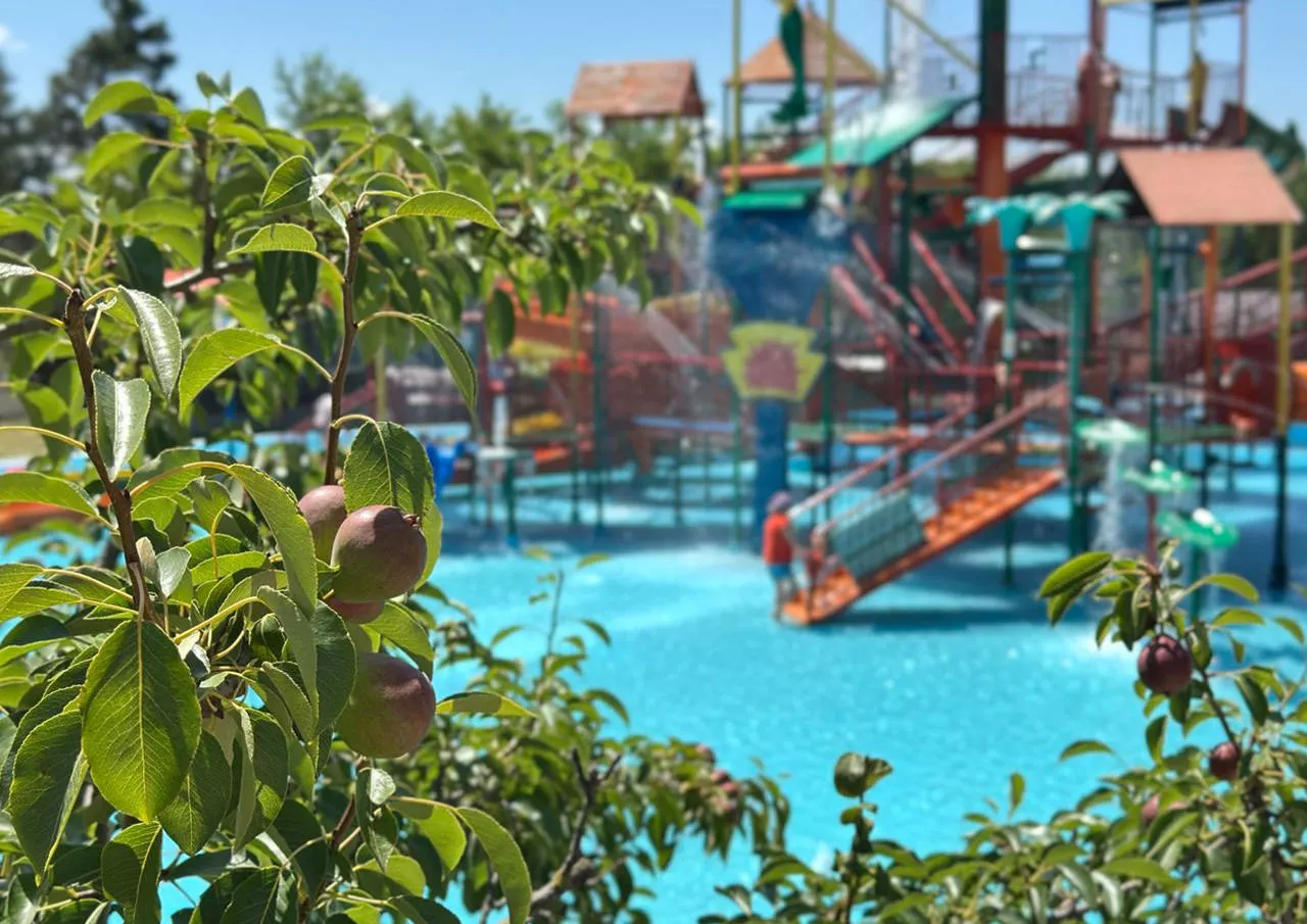 Отдых в Крыму в Песочном в курортном комплексе Азовский