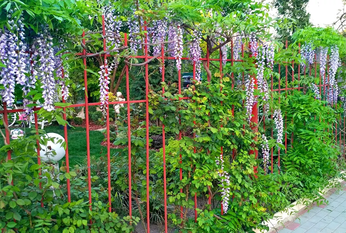 дендропарк в Евпатории