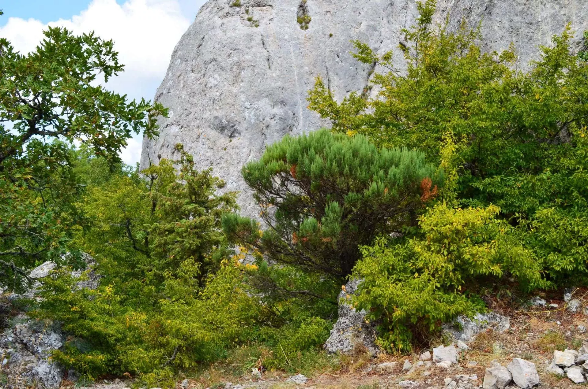 В Крыму Храм Солнца