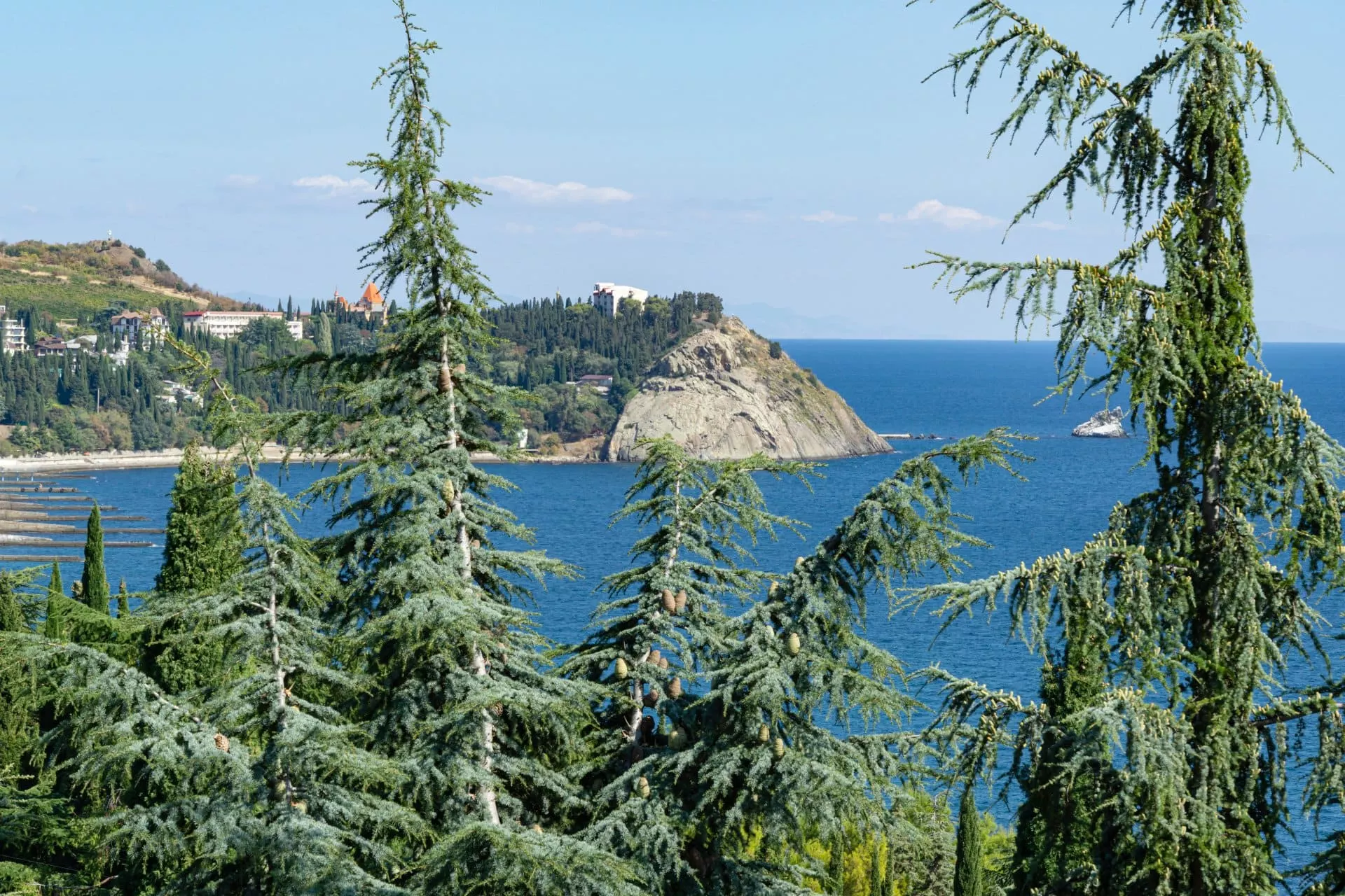 Фото Партенит