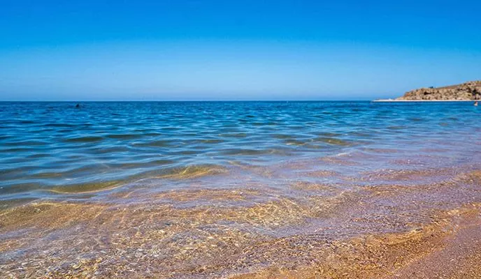 Размещение ребенка бесплатно — 10