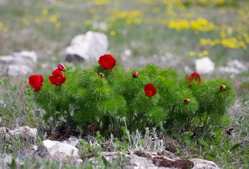 Погода в Крыму в апреле