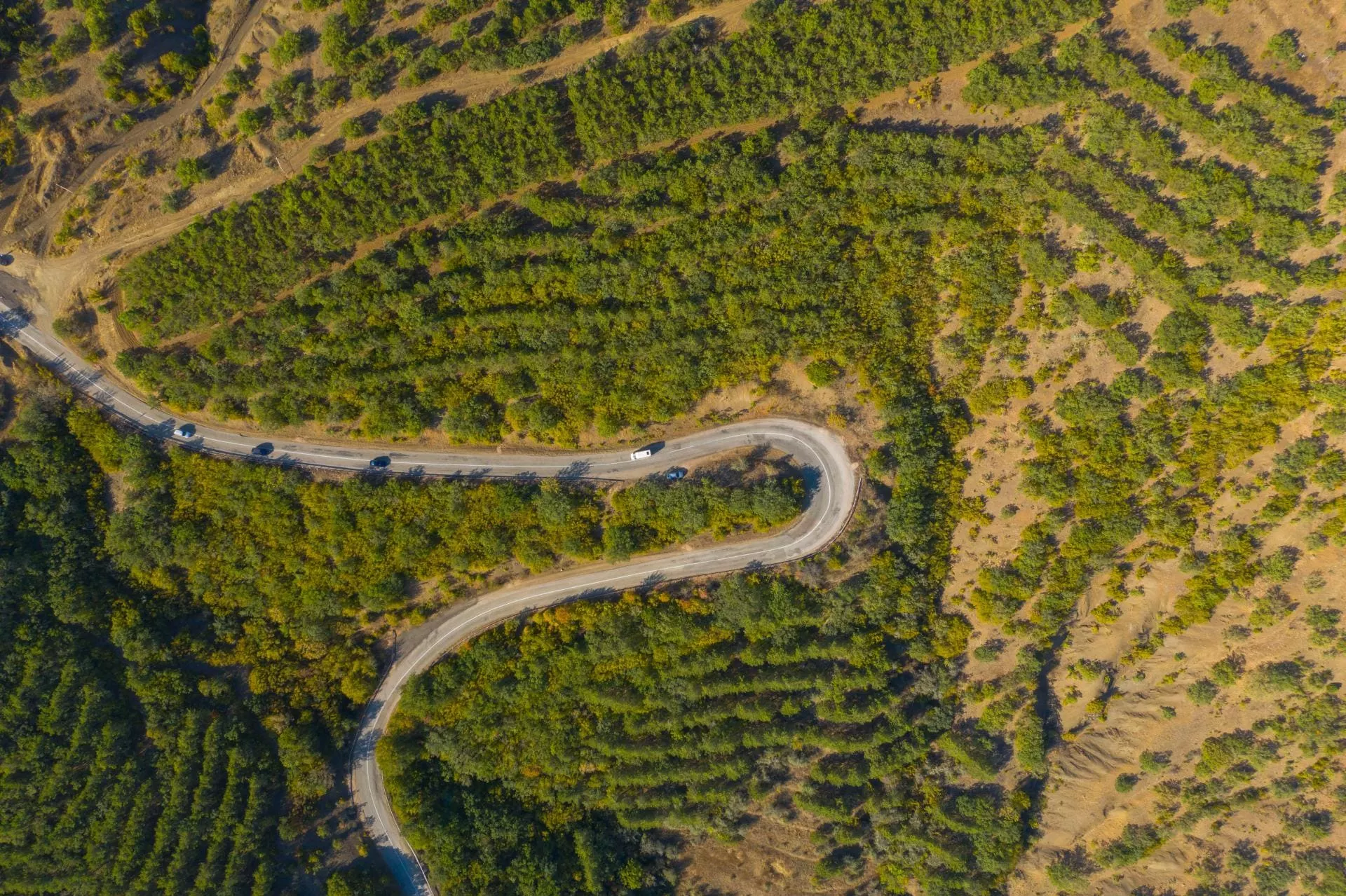 поездка в Крым на машине фото