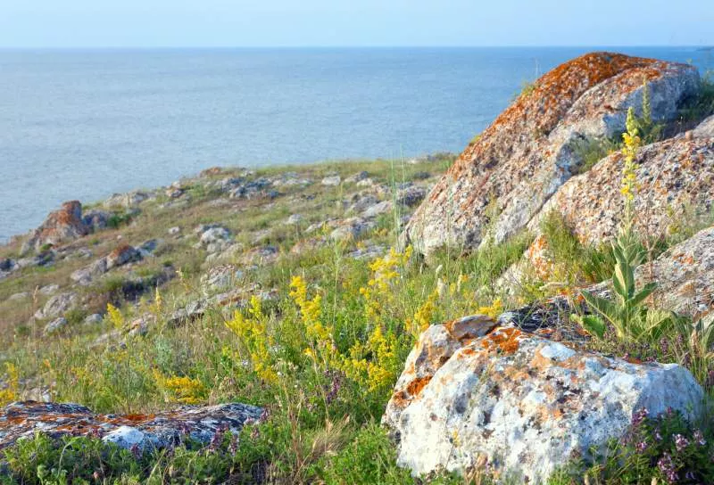 Фотографии Казантипского заповедника в Крыму
