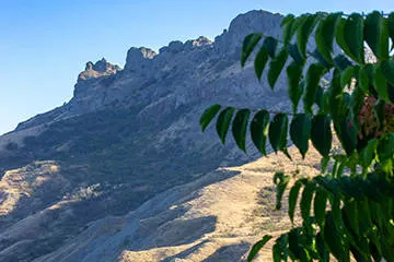 Спортивные базы на море в Крыму