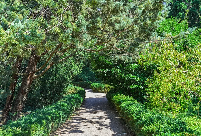 Дендрарий в Евпатории