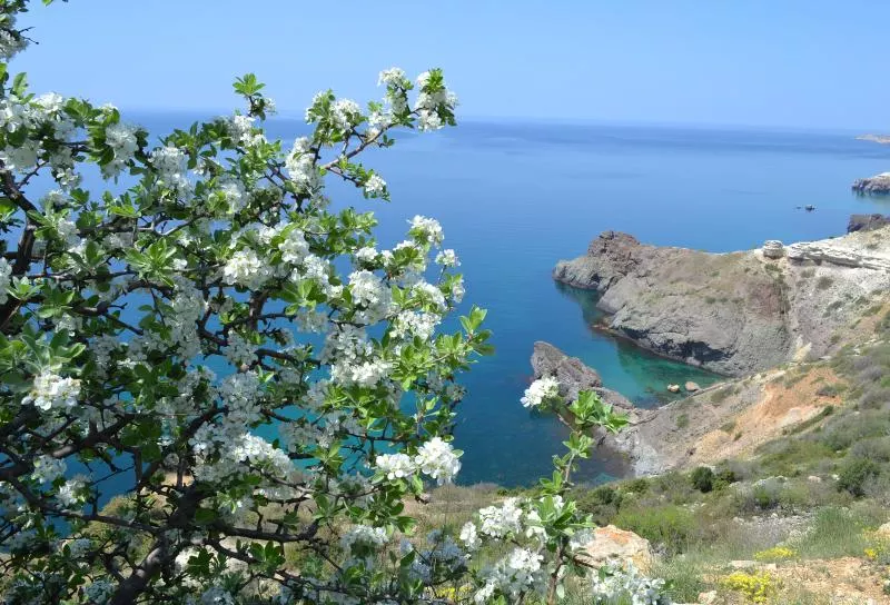 Погода в Крыму в мае