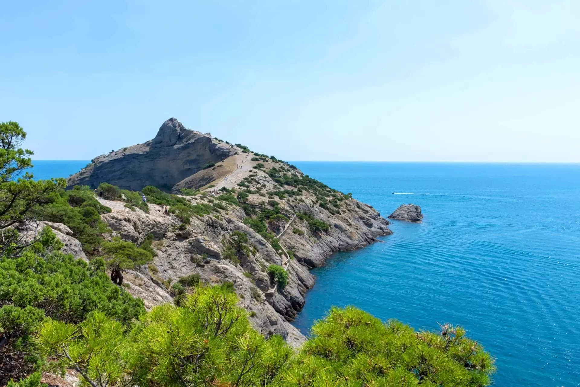 Можжевеловая роща в Крыму