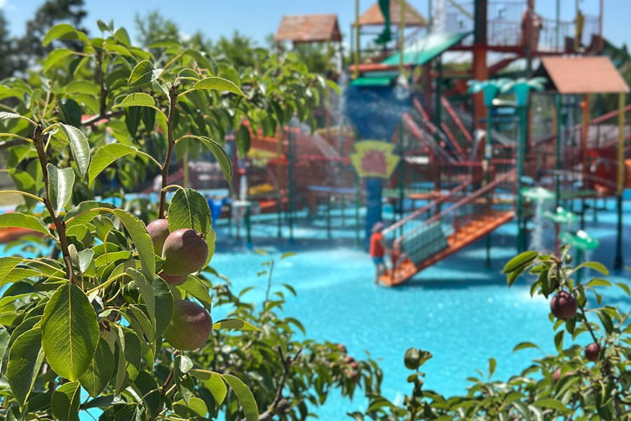 Курортный комплекс Азовский аквапарк Остров Сокровищ