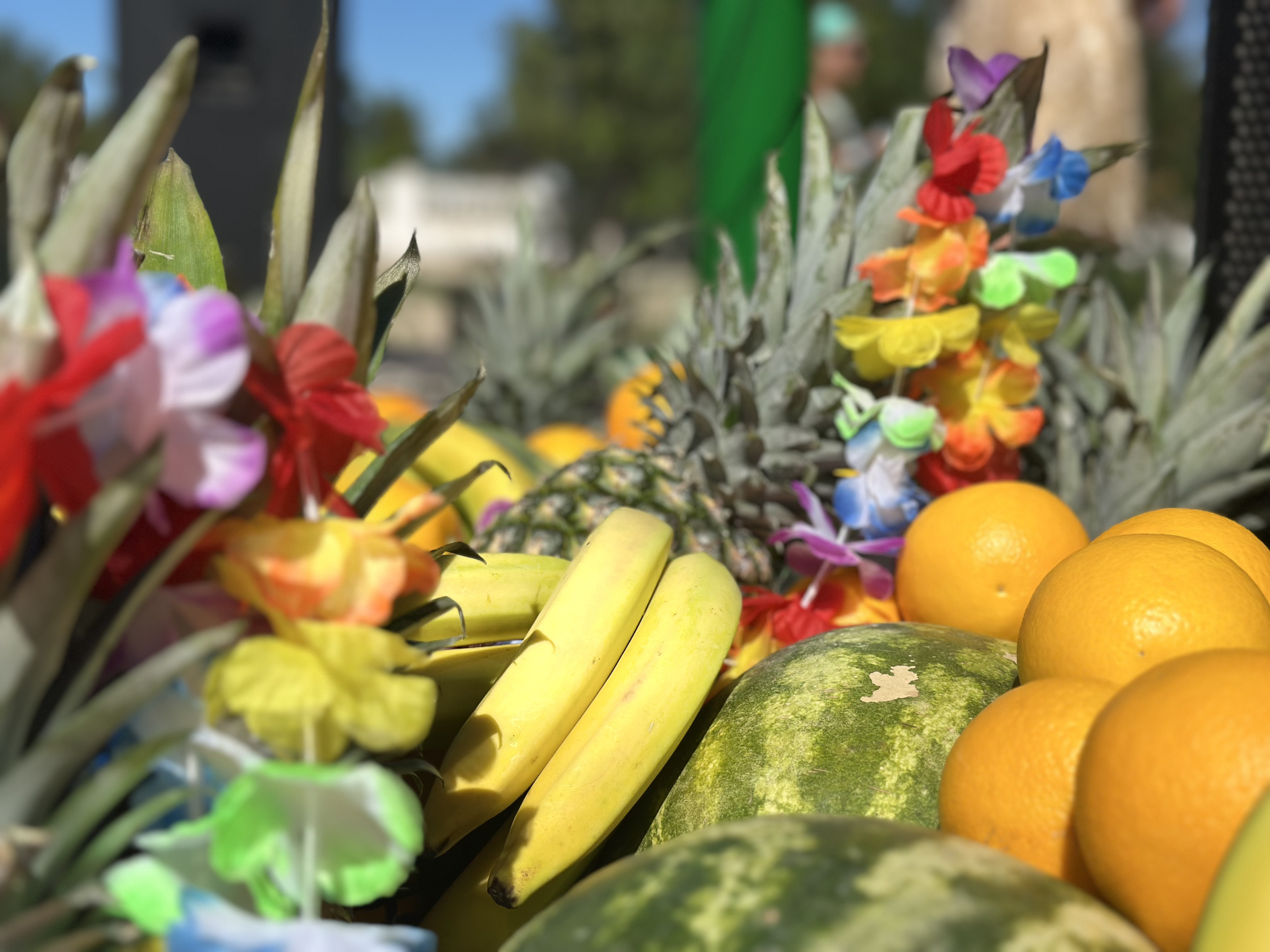 Гавайская вечеринка в Курортном комплексе «Азовский» Крым