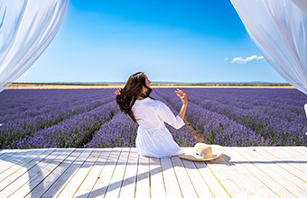 Лавандовые поля в Крыму