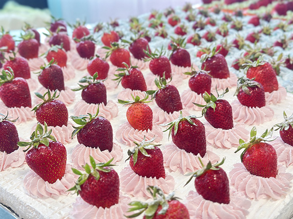 Шведский стол в курортном комплексе Азовский