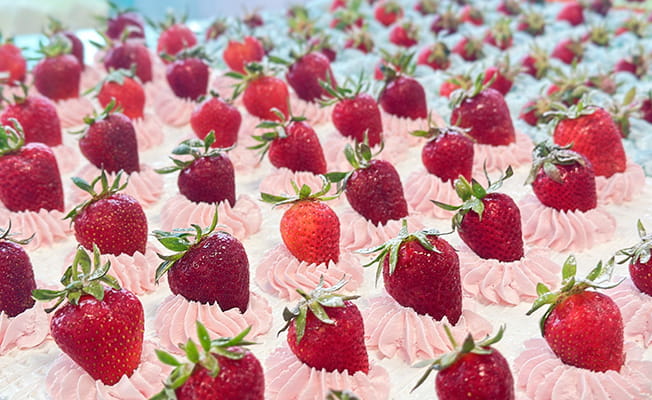 «Клубничный рай» в Азовском