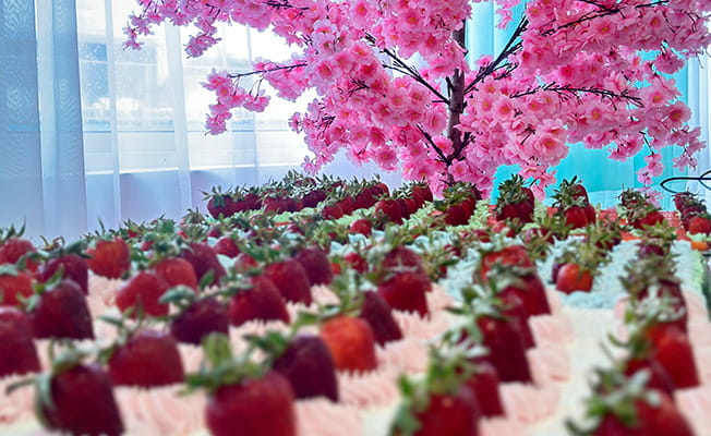 «Клубничный рай» в Азовском