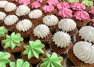 Вкусные сезоны Азовский Курортный комплекс Крым