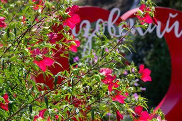 Территория курортного комплекса Азовский Крым