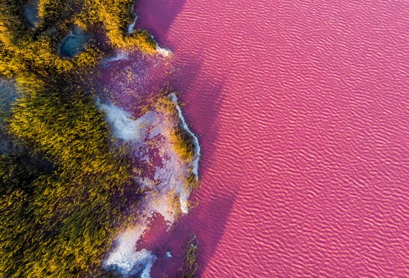 Розовое озеро в Крыму