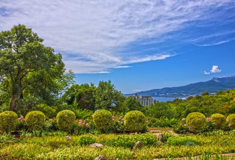 Никитский ботанический сад - фото