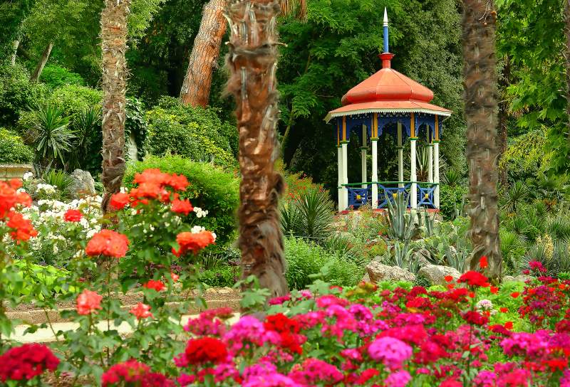 Никитский ботанический сад - экскурсия