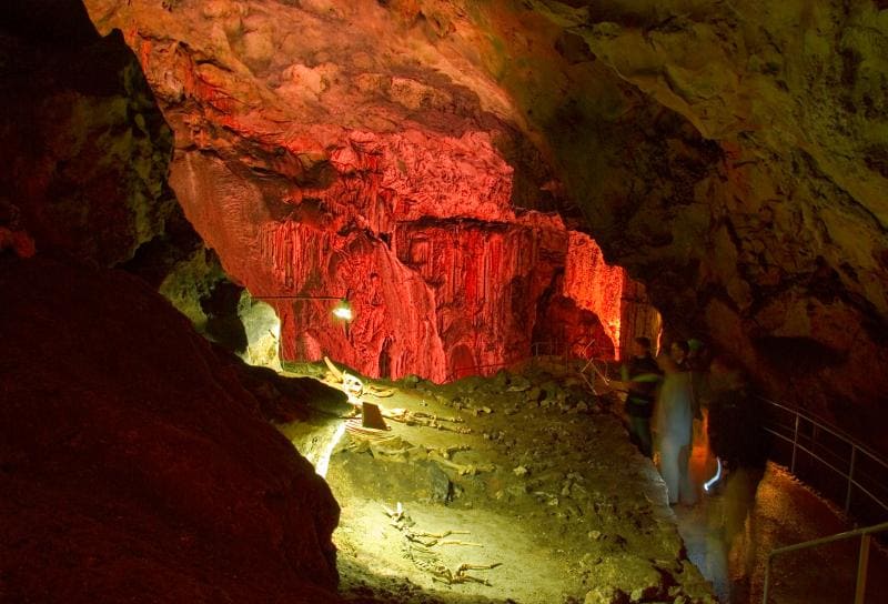 Мамонтовая пещера (Эмине-Баир-Хосар)