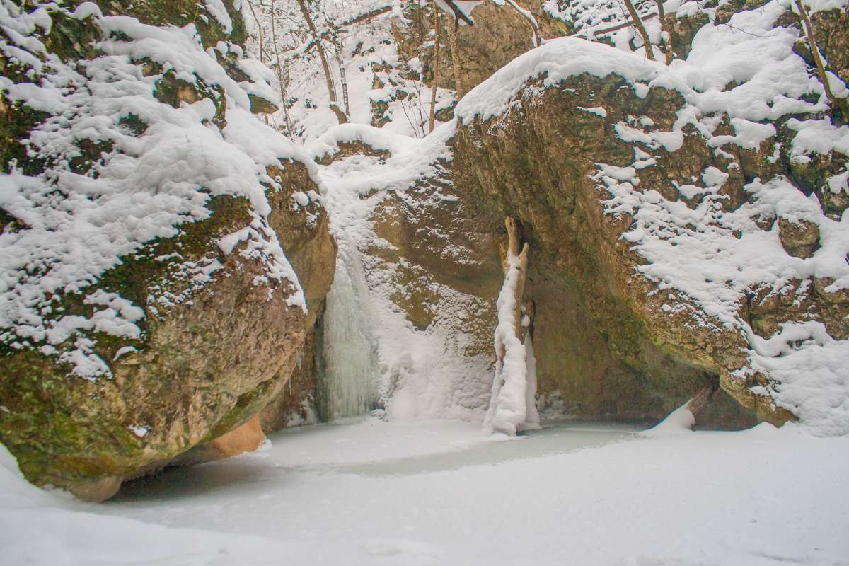 Сливы армянок в телеграмм фото 125