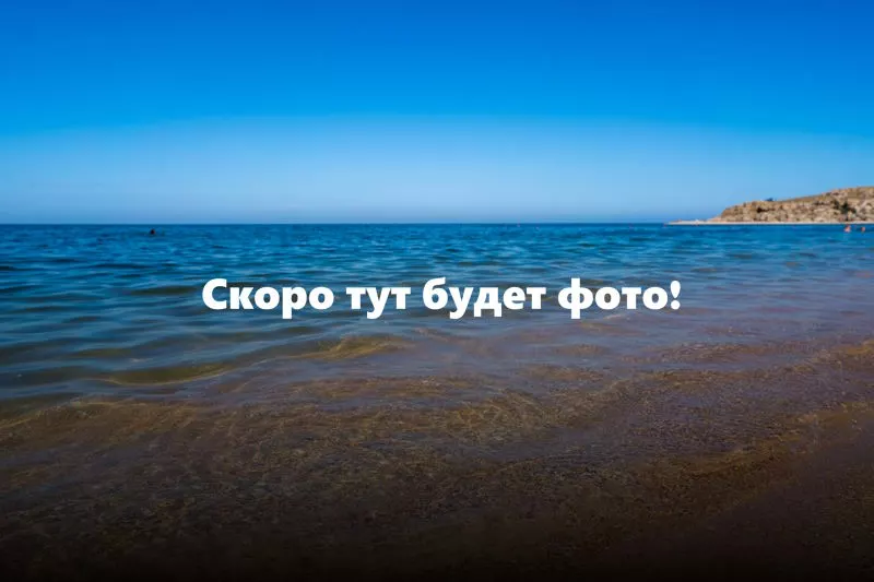 Глициния в Крыму