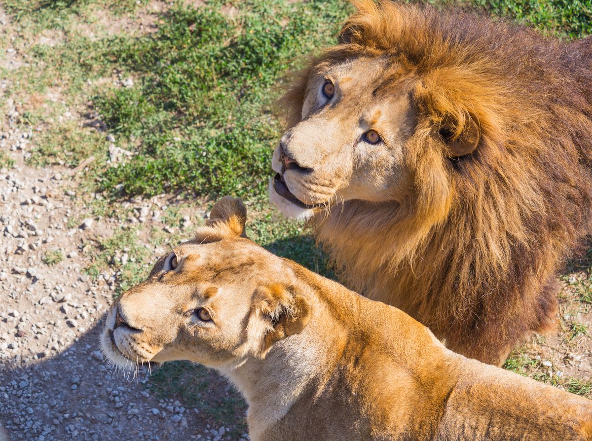 Белогорск в Крыму