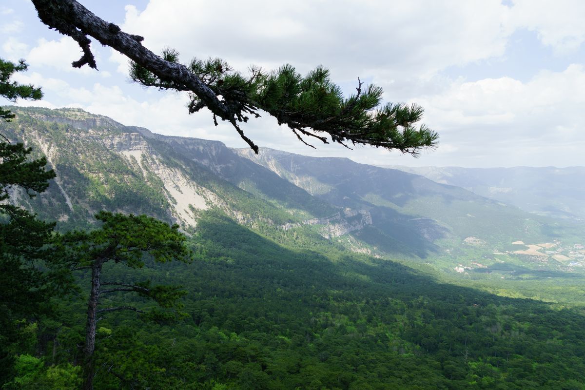 фотографии Канатной дороги Ай-Петри