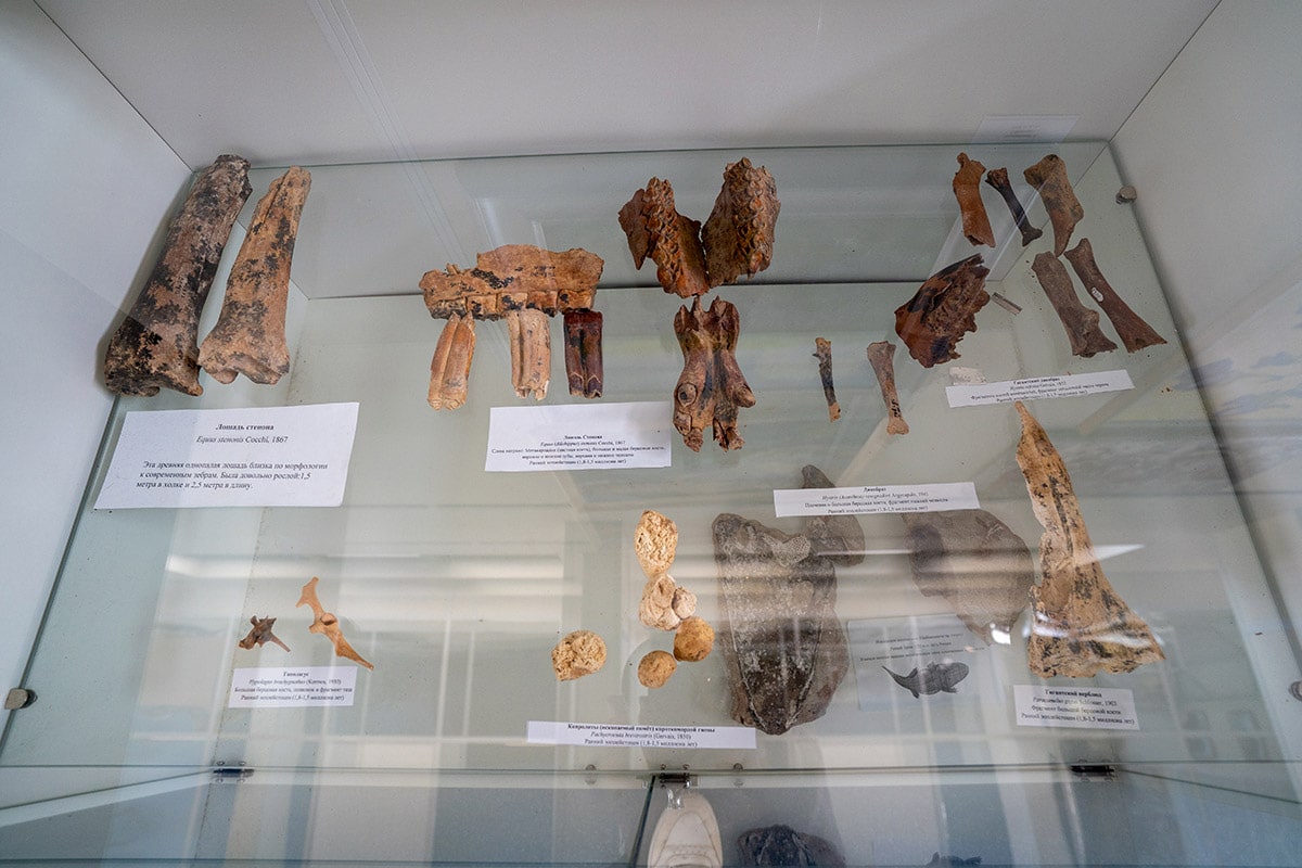 Пещера Таврида в Крыму