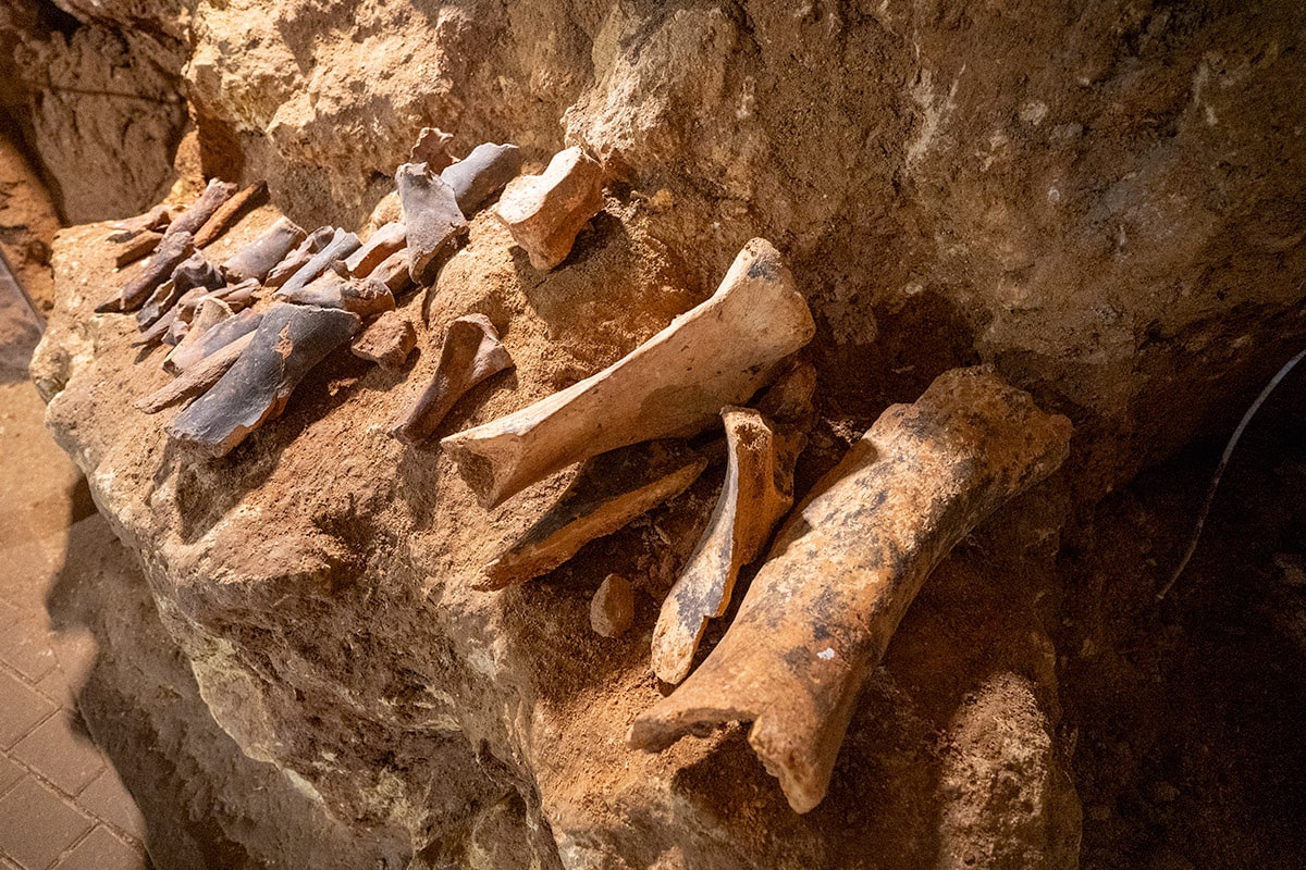 Пещера Таврида Крым