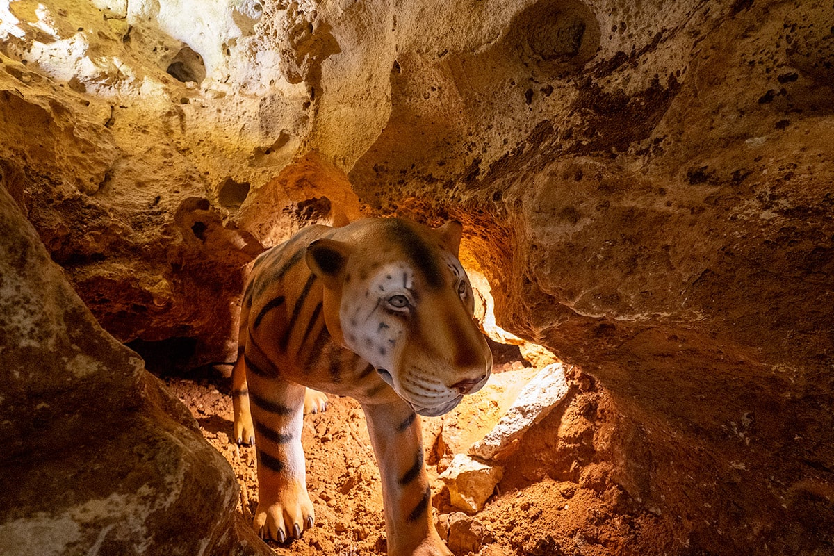 фотографии Пещеры Таврида