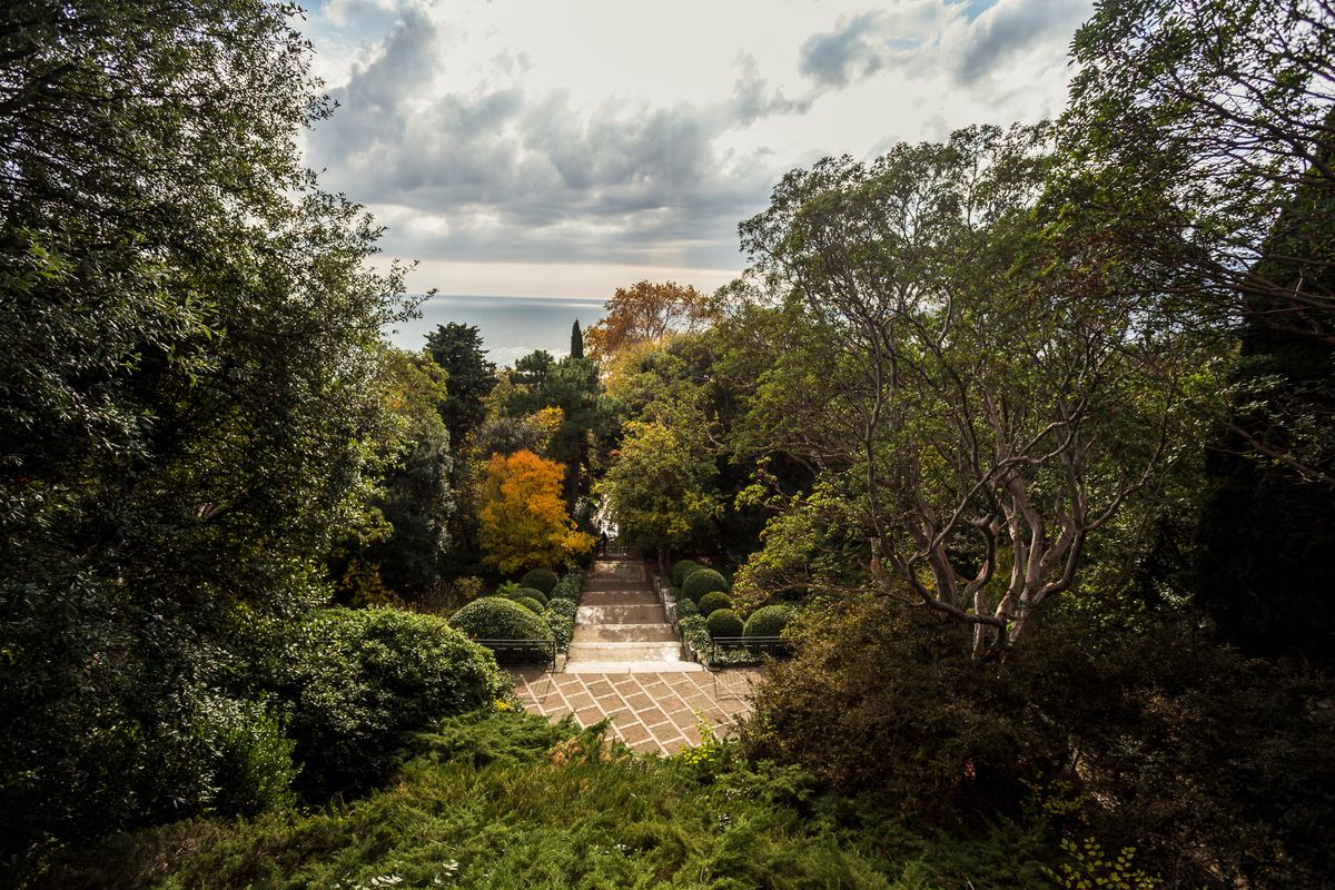 Приморский парк фото