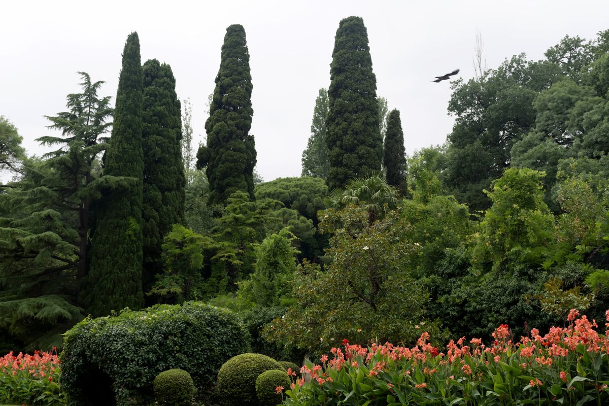 Где находится Приморский парк