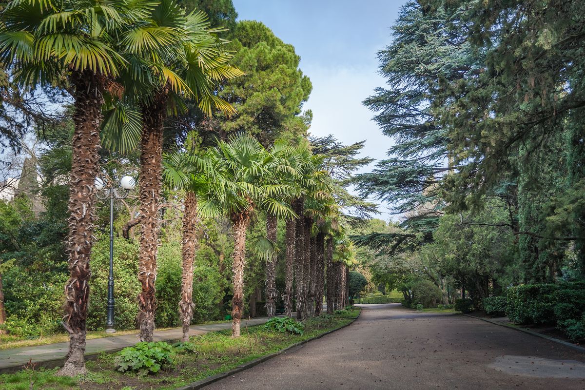 Приморский парк Крым