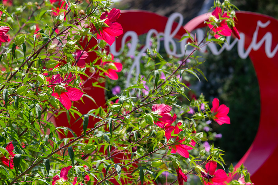 Азовский Курортный комплекс