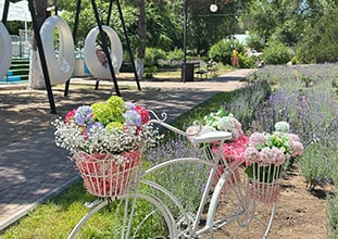 Азовский Курортный комплекс Крым