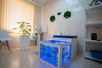 Спа уходы в Крыму