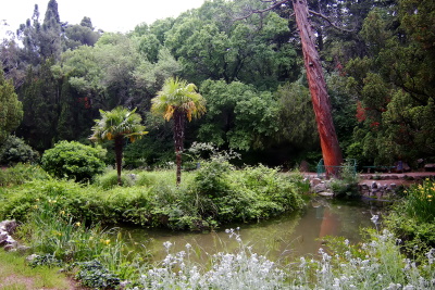 Форосский парк Крым