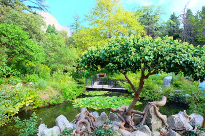 Парк в Форосе