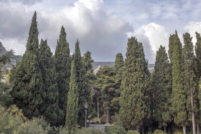 Парк в Форосе Крым фото