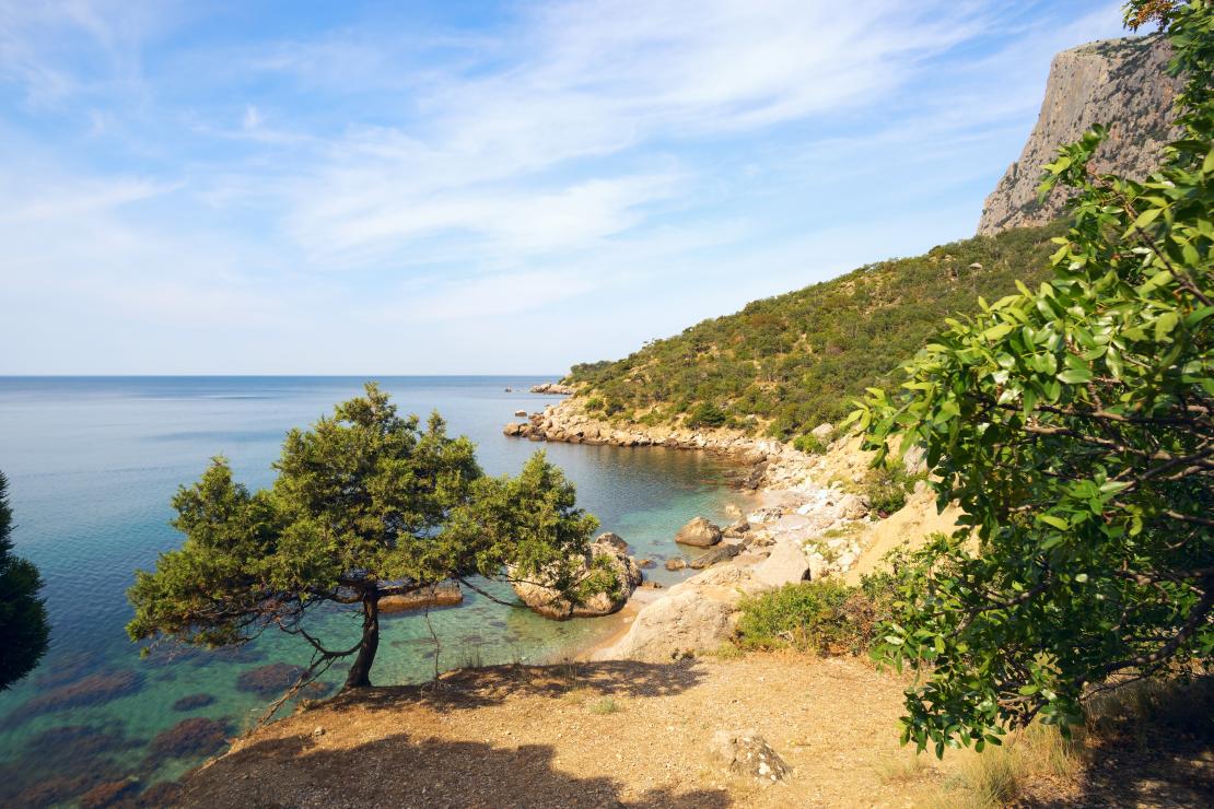 Бухта Ласпи фото